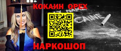 гашик Моздок