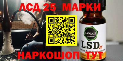 гашик Моздок