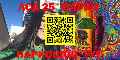 гашик Моздок