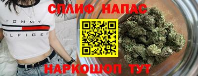 гашик Моздок