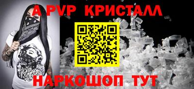 гашик Моздок