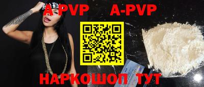 гашик Моздок